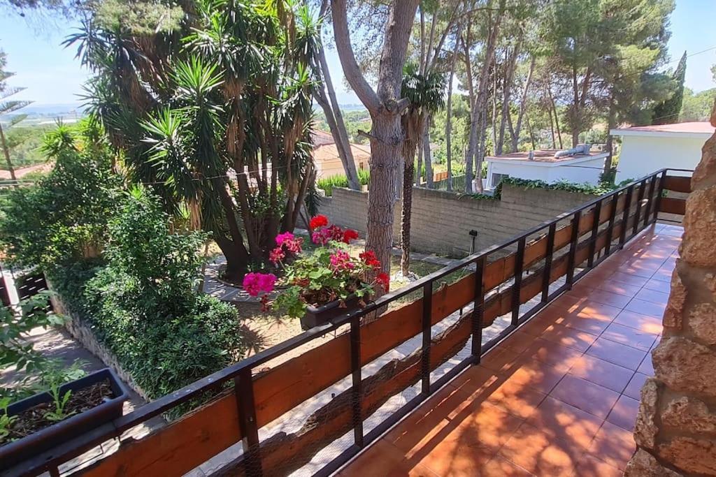 Chalet Rustico Con Piscina Y Barbacoa, Valencia Torrent  Dış mekan fotoğraf